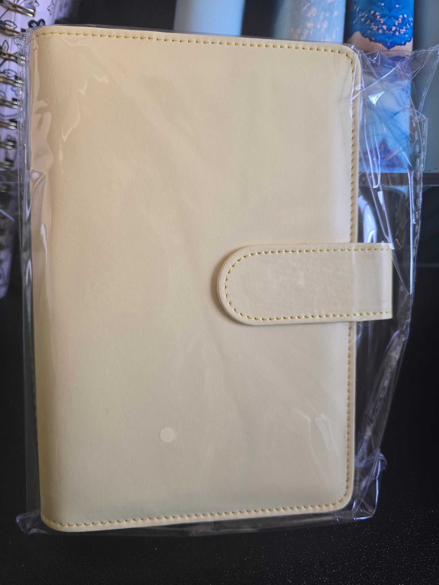CUSTOM BINDER monthly savings challenge bundle