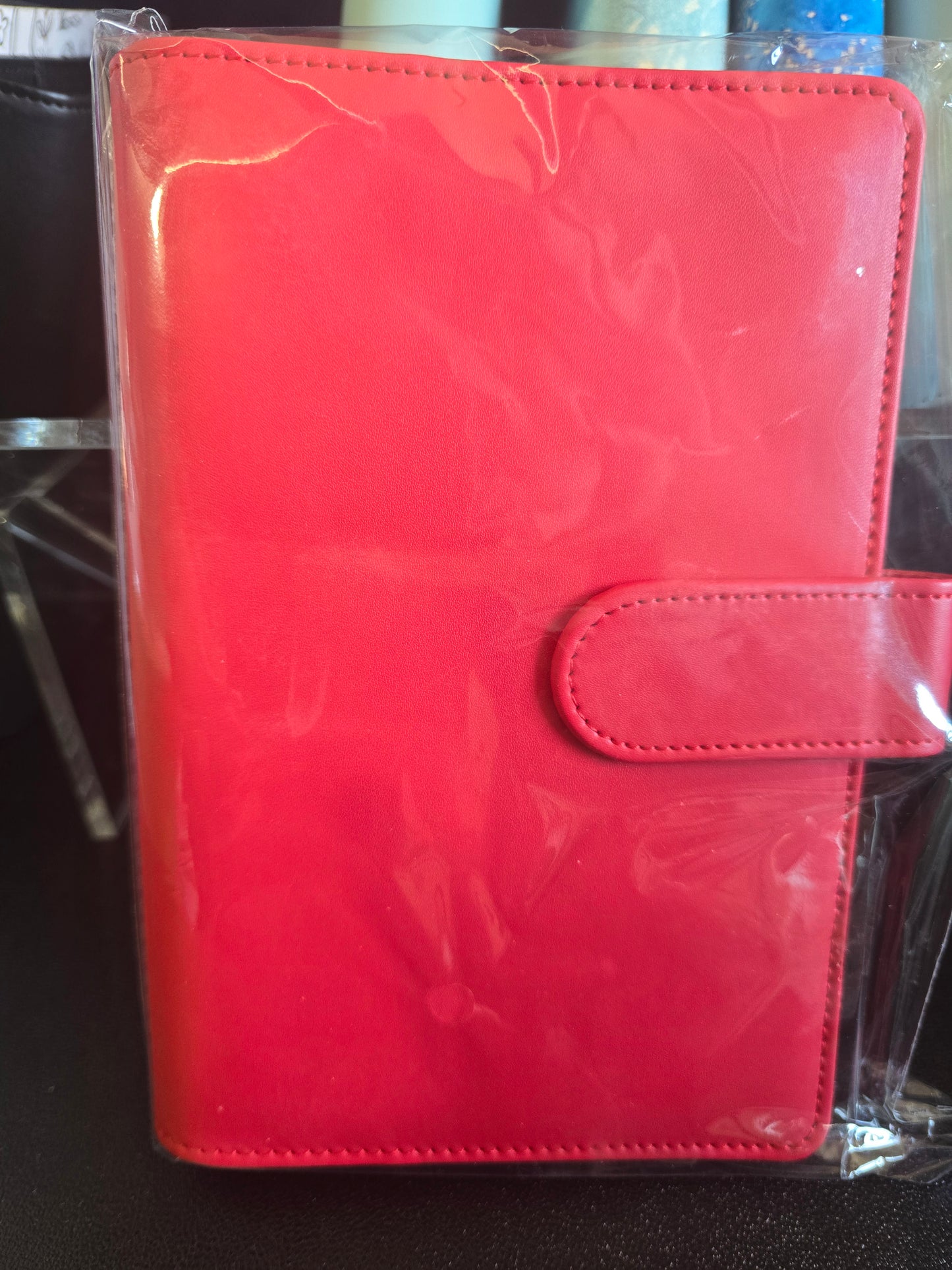 CUSTOM BINDER monthly savings challenge bundle