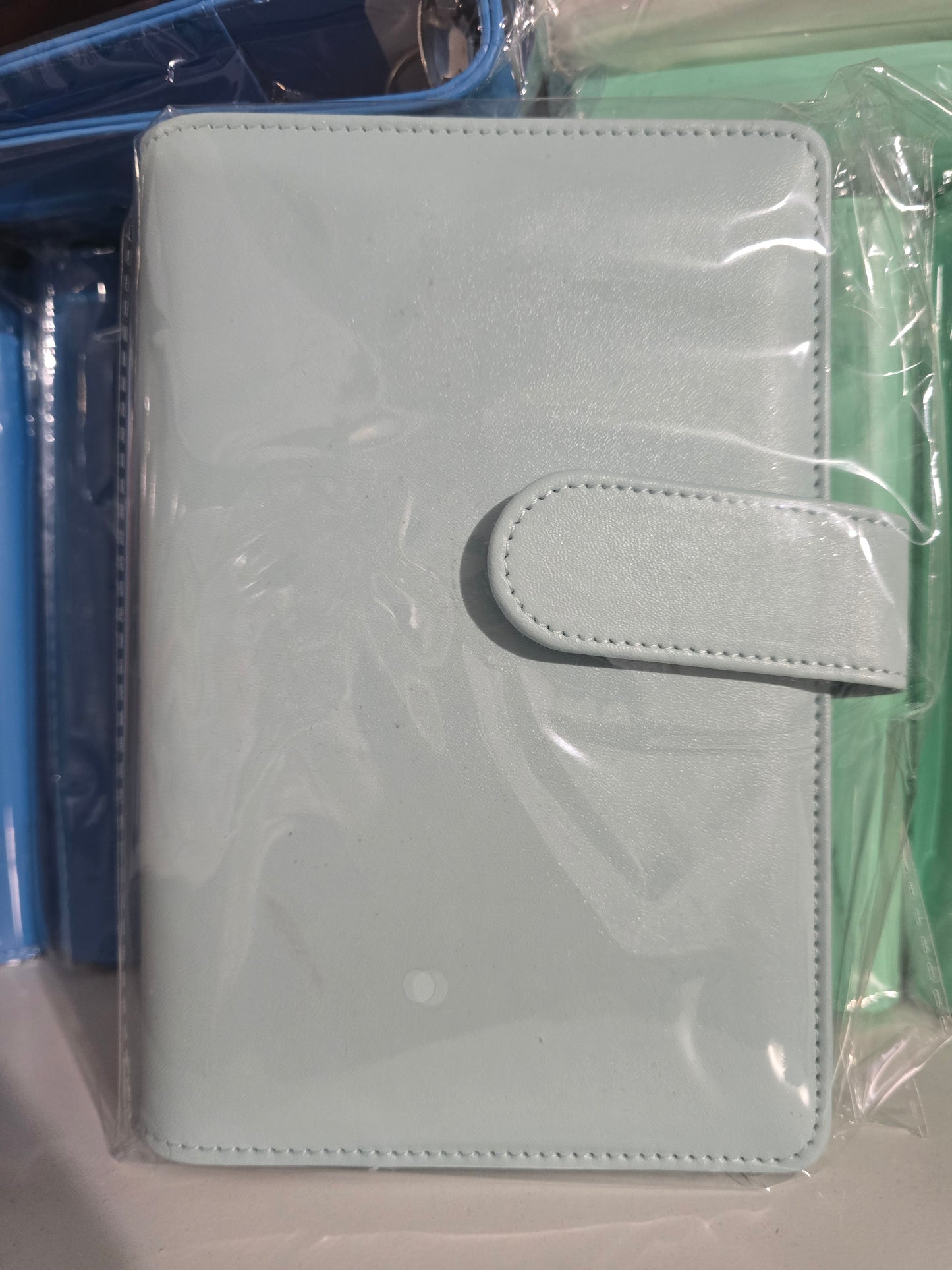 Monthly Savings Challenge Bundle